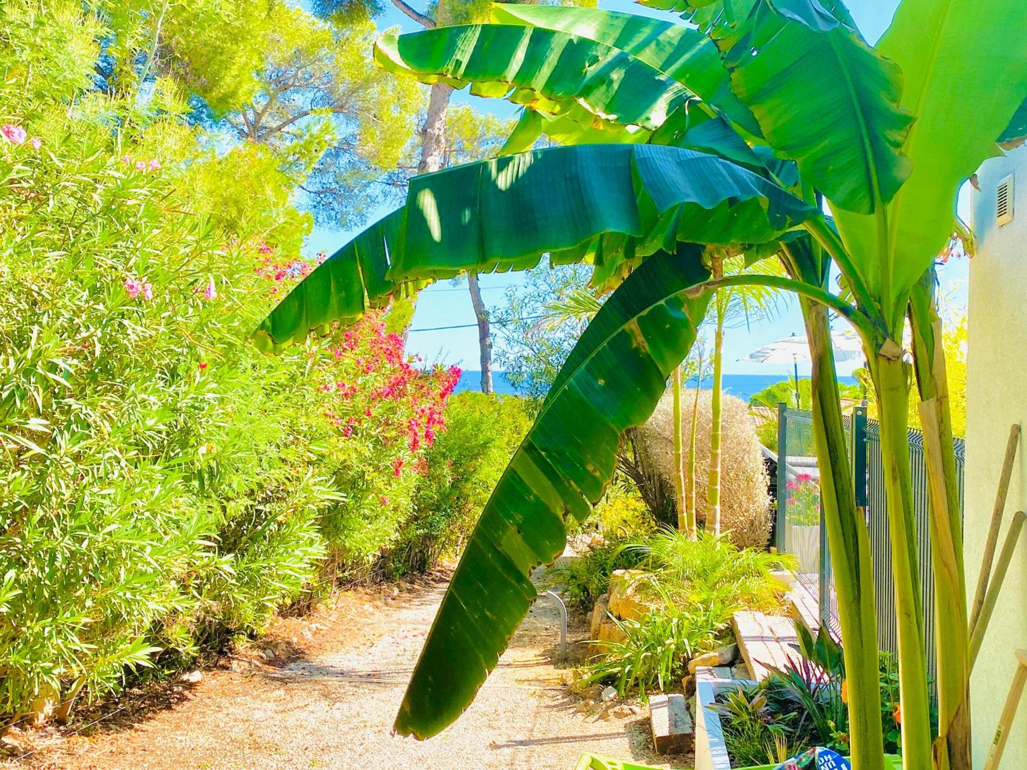 לס איסאמברה Villa Mediterranea מראה חיצוני תמונה